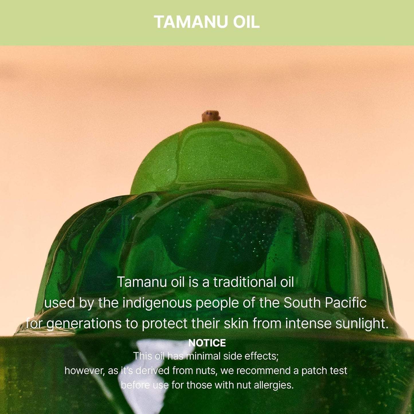 Tamanu Zinc Oxide Mild Mineral No Whitecast Sunscreen UV Clear Lightweight Daily Moisturizer Lotion with SPF 50+ PA++++ for Sensitive Skin Non Greasy Non Oily Long Lasting Korean Skincare