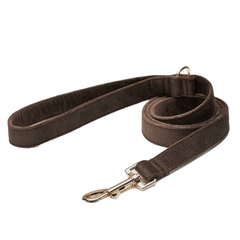 Dog Outdoor Leash High-density Nylon