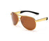 Gold frame brown
