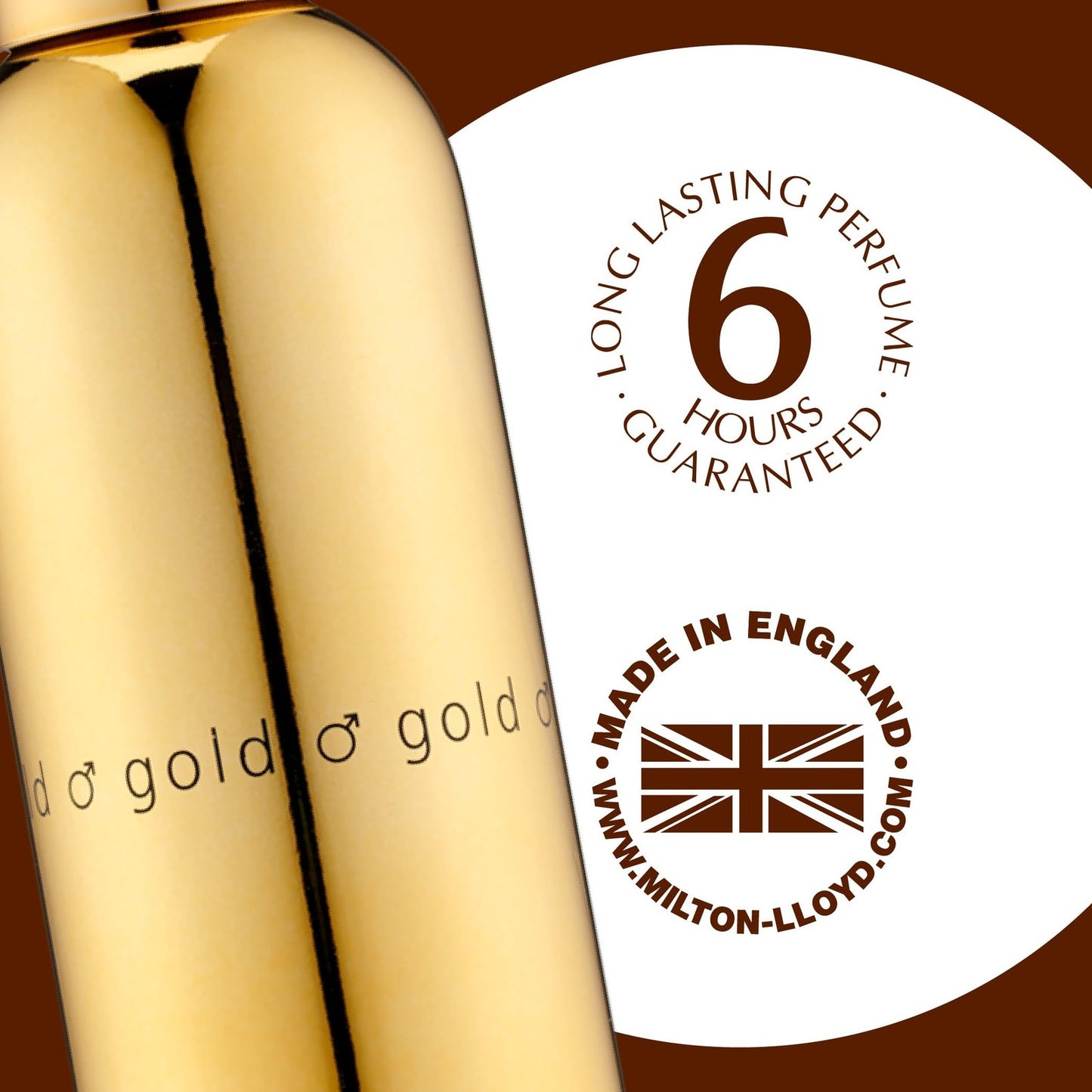 Colour Me | Gold Homme | Eau De Toilette | Fragrance Spray for Men | Oriental