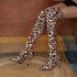White leopard