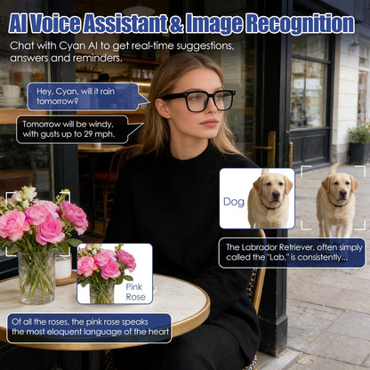 1Pc AI Smart Glasses With Camera And Audio 8MP HD1080P Real Time Translation 139 Languages Voice Assistant AI Photo Recognition Music Playback & Hands-Free Calling For Travel Meeting Vlog