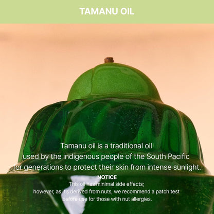 Tamanu Zinc Oxide Mild Mineral No Whitecast Sunscreen UV Clear Lightweight Daily Moisturizer Lotion with SPF 50+ PA++++ for Sensitive Skin Non Greasy Non Oily Long Lasting Korean Skincare