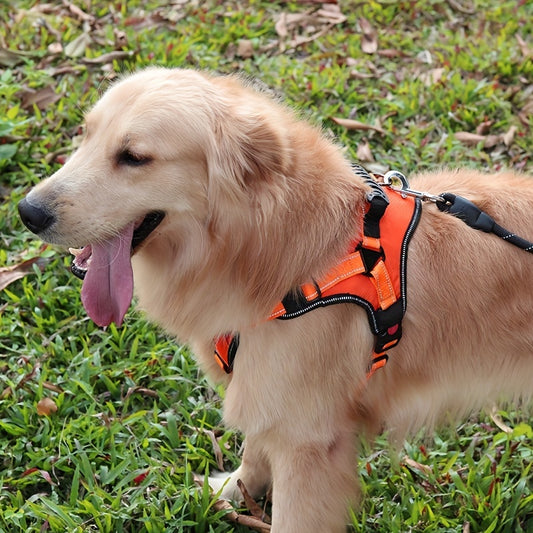 High Quality Dog Leash Explosion-proof Impact Medium And Large Dog Chest Strap Pet Leash Dog Chest Strap